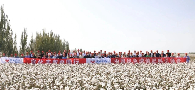 宜化豐收中國行！新疆棉花大型測產(chǎn)觀摩會成功舉行(圖1)