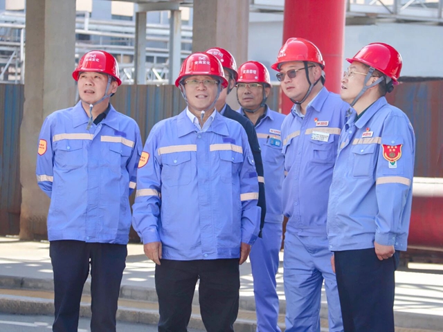 王大真到新疆、青海區(qū)域分子公司現(xiàn)場辦公(圖2)